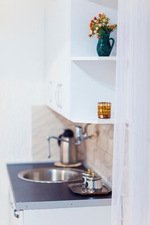 Kuchyň nebo kuchyňský kout v ubytování Apartmani Slavica