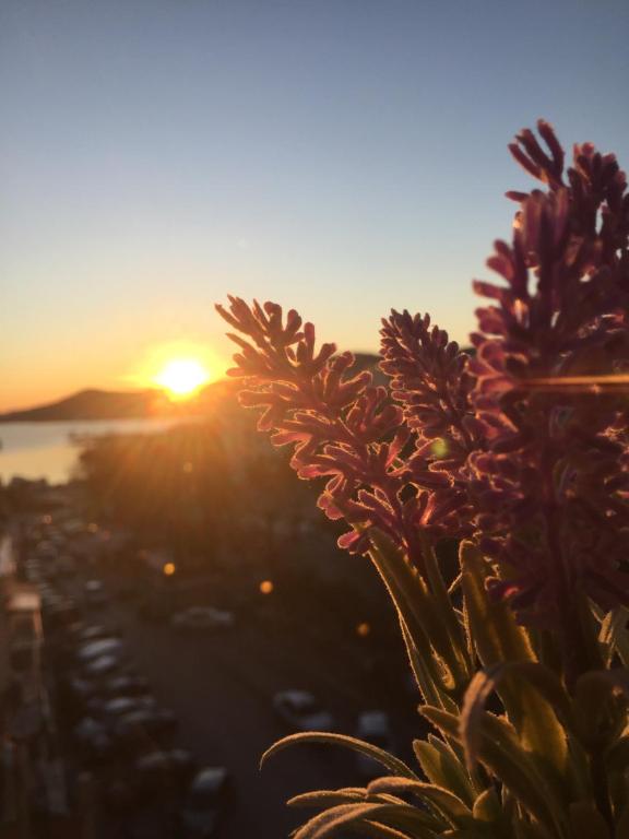 einen Sonnenuntergang über dem Meer mit Blumen im Vordergrund in der Unterkunft Central House with AmazingView in Kavala