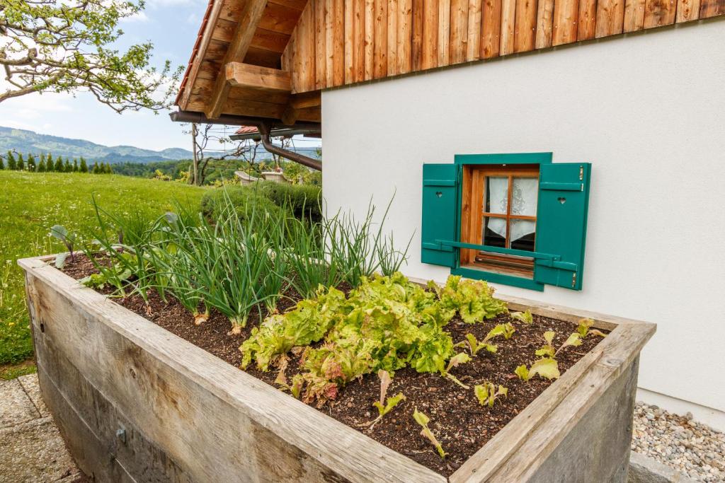 Vonkajšia záhrada v ubytovaní Ferienhaus Höllberg