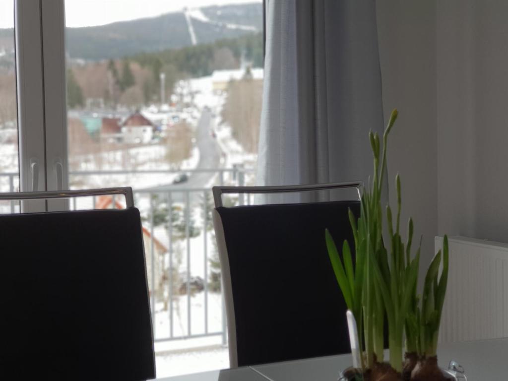 Výhľad na hory alebo výhľad na hory priamo z apartmánu