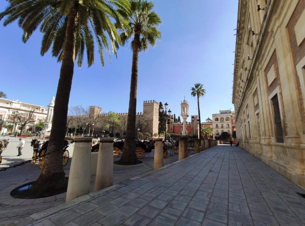 Suite Apartament Cathedral - 5