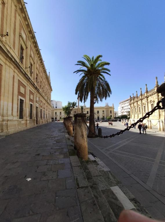 Suite Apartament Cathedral - 6