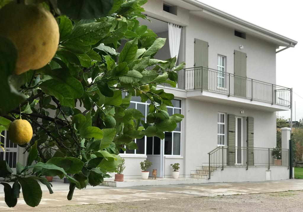 Budova, v ktorej sa ubytovanie bed & breakfast nachádza