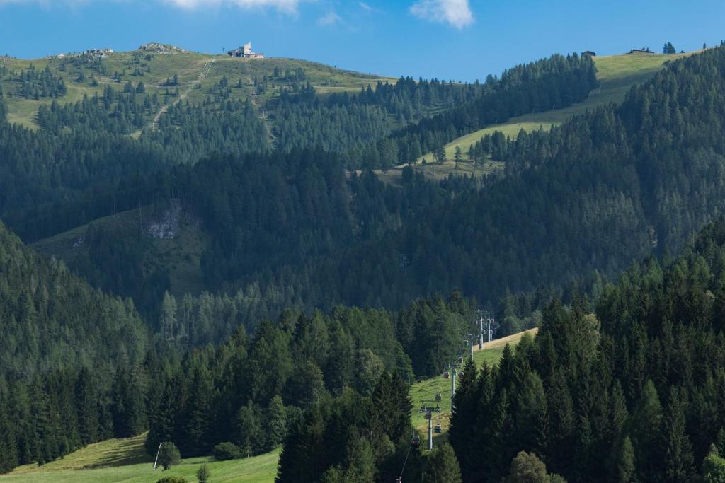 Příroda nedaleko apartmánu
