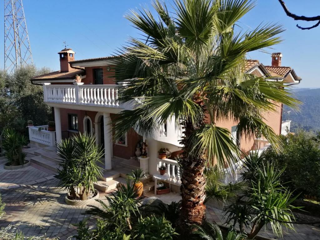 een huis met een palmboom ervoor bij La casa di Antonella in Vico del Gargano
