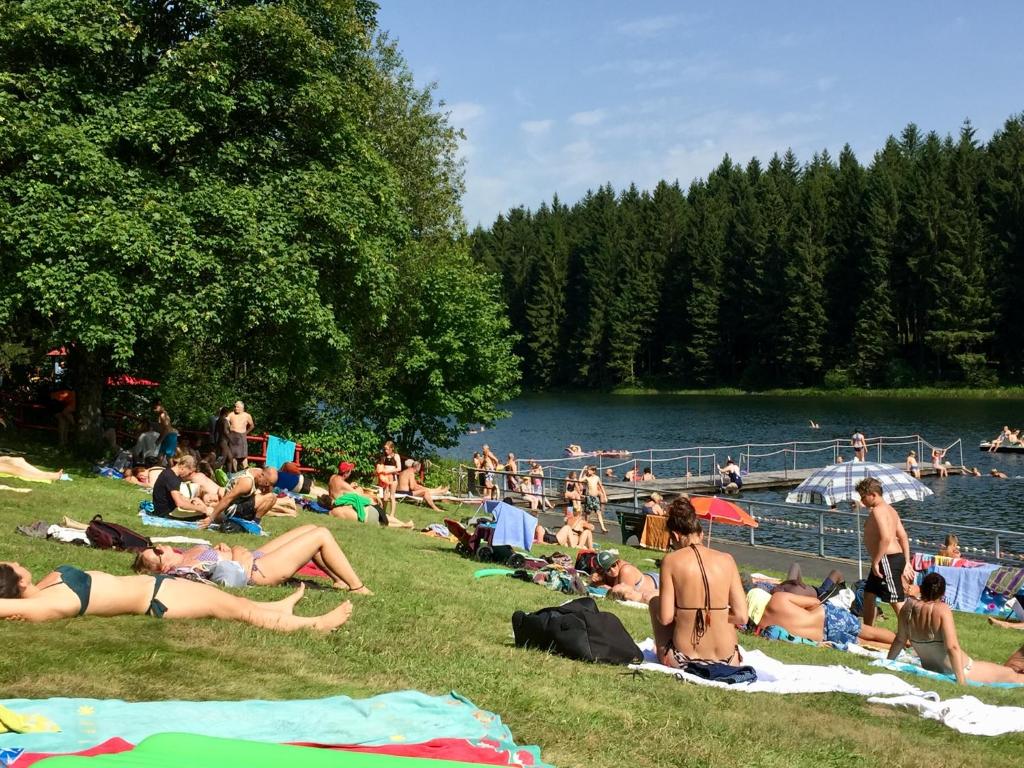Příroda nedaleko hotelu