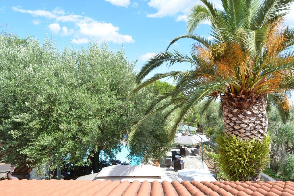 Táj Show holiday homes közelében