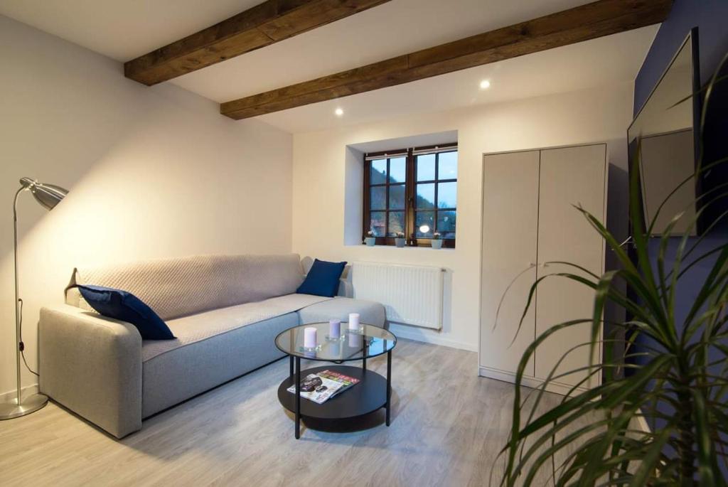 Apartamenty Dom Kifnera - 16