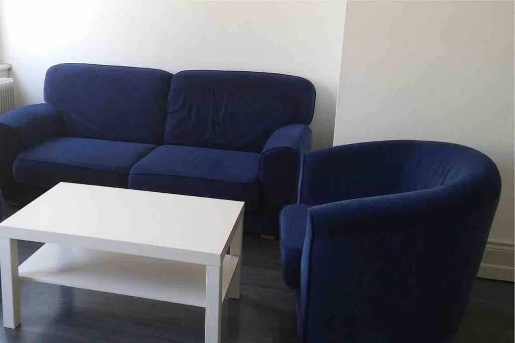 F3 lumineux & cosy au centre de Mulhouse – photo 13