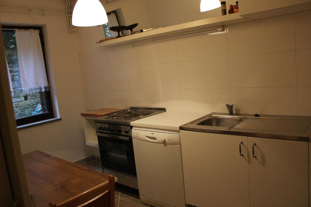 Kuchyň nebo kuchyňský kout v ubytování Apartments Sabadin