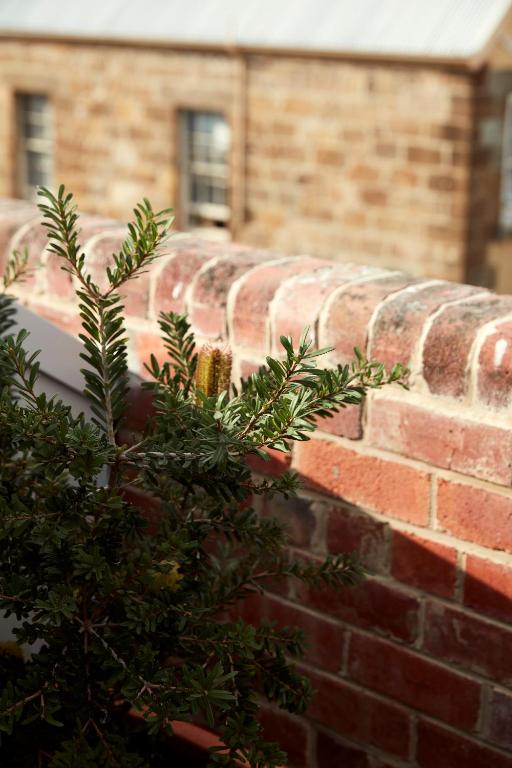 Moss Hotel - Resim 21