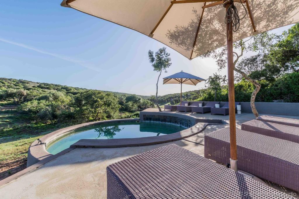 Bazén v ubytování Safari Lodge - Amakhala Game Reserve nebo v jeho okolí