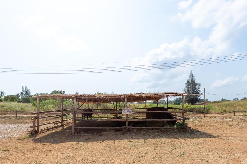 Fotografie z fotogalerie ubytování The Barn Hua Hin v destinaci Khao Tao