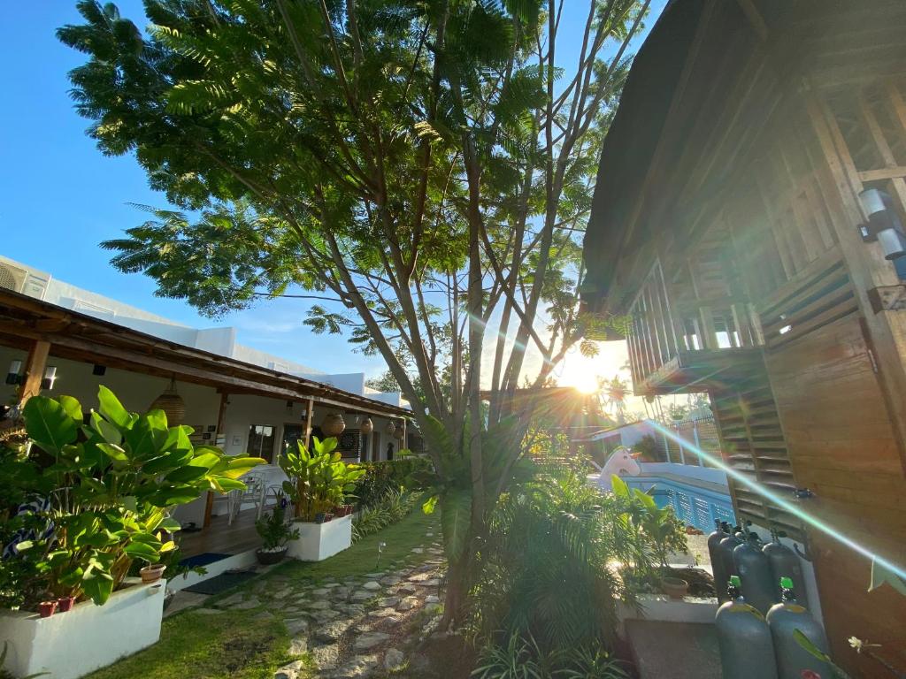 Zahrada ubytování Kalachuchi Inn 薄荷雞蛋花旅宿