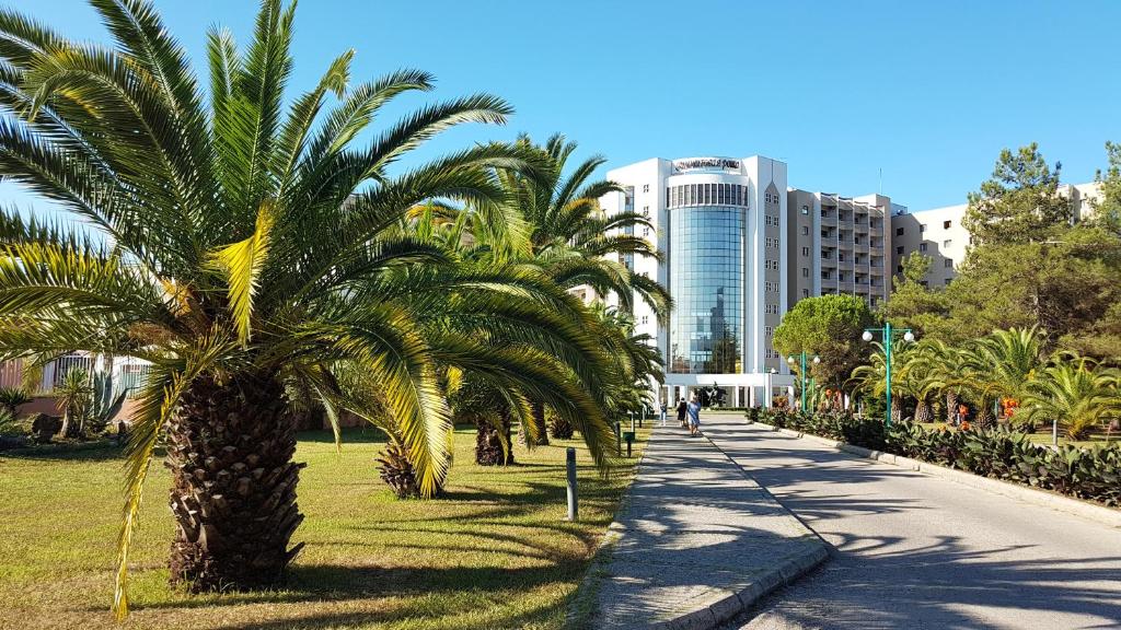 a row of palm trees on the side of a road at Санаторий Самшитовая роща in Pizunda