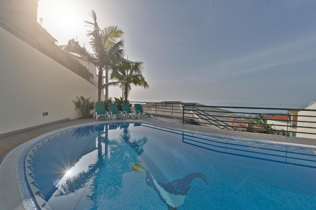 a swimming pool with chairs and a palm tree at Charming Villa in Funchal in Funchal