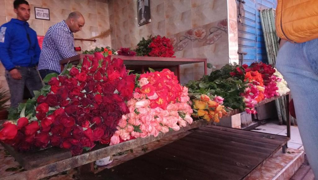Hosté ubytování Riad Al Warda