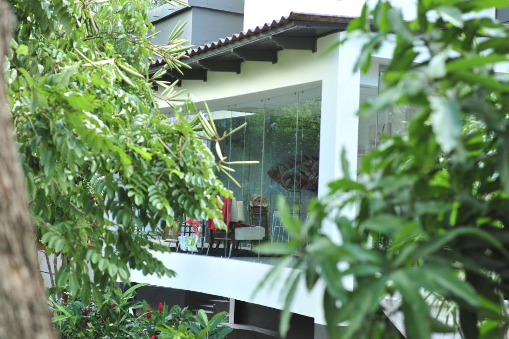 Zahrada ubytování G y V Hotels