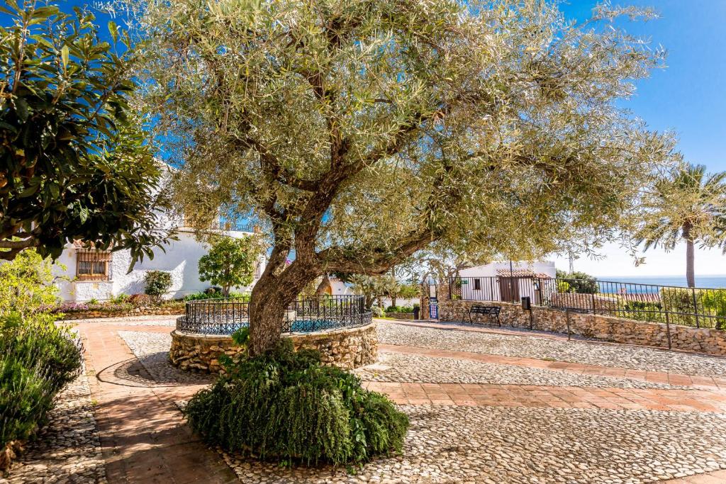 Vonkajšia záhrada v ubytovaní Violetas, Nerja