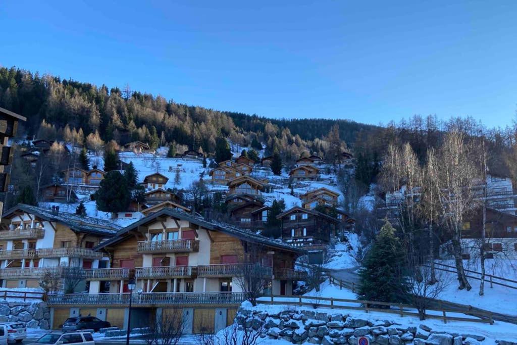 Studio - Cosy et central, Haute-Nendaz, 4 Vallées - Resim 5