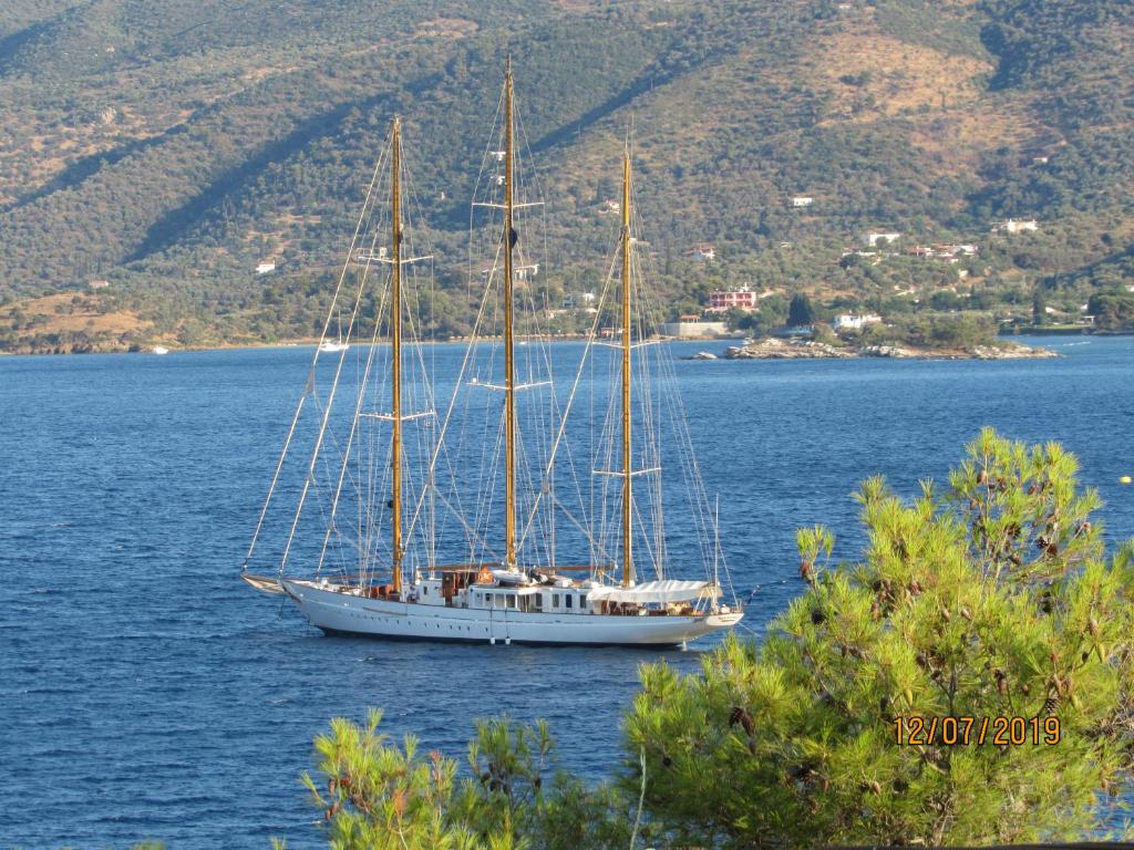 Foto de la galería de SERENITY yard apartment en Poros