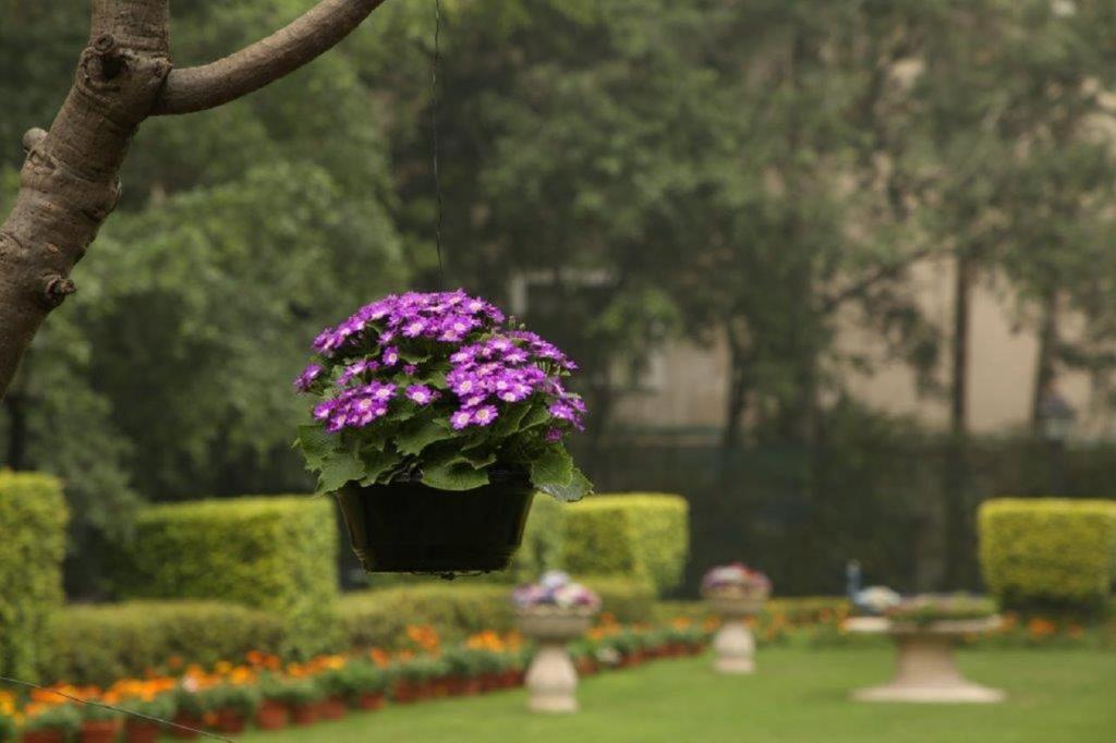 Zahrada ubytování Taj Palace, New Delhi