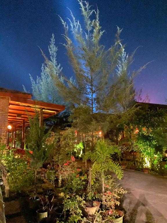 Giardino di Trinity Family Inn
