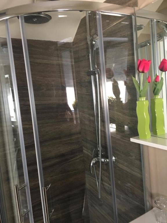 Kúpeľňa v ubytovaní Apartment Ana Arbanasi