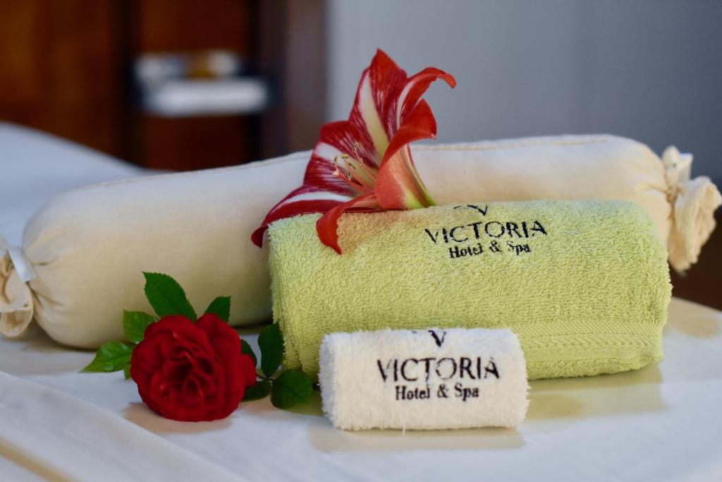 Victoria Hotel y Spa