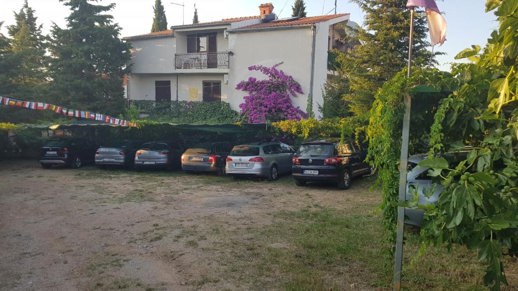 Vonkajšia záhrada v ubytovaní Villa Ivanka Murter ap C sa grijanim bazenom i besplatnim parkingom