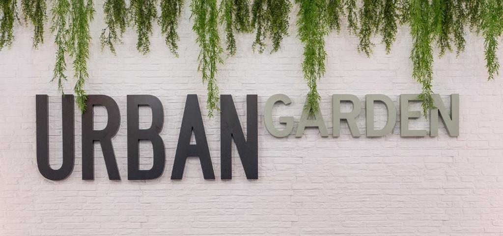 Clement Barajas - Resim 18