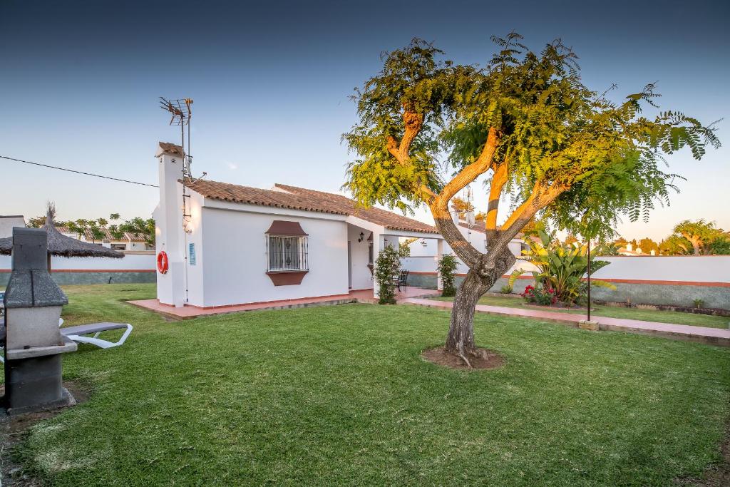 a tree in a yard in front of a house at Chalet Pedro I in Conil de la Frontera