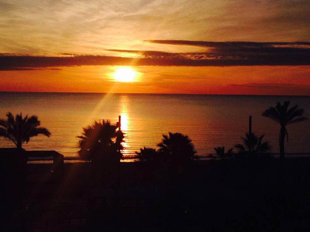 1 Linea Playa San Juan, Alicante – Tarifs 2023