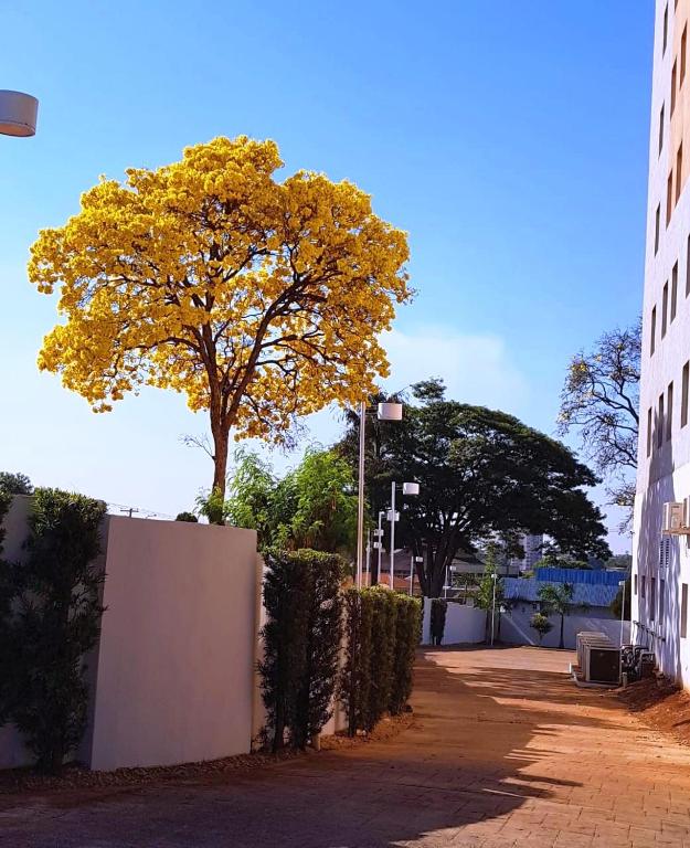  ibis Sertaozinho