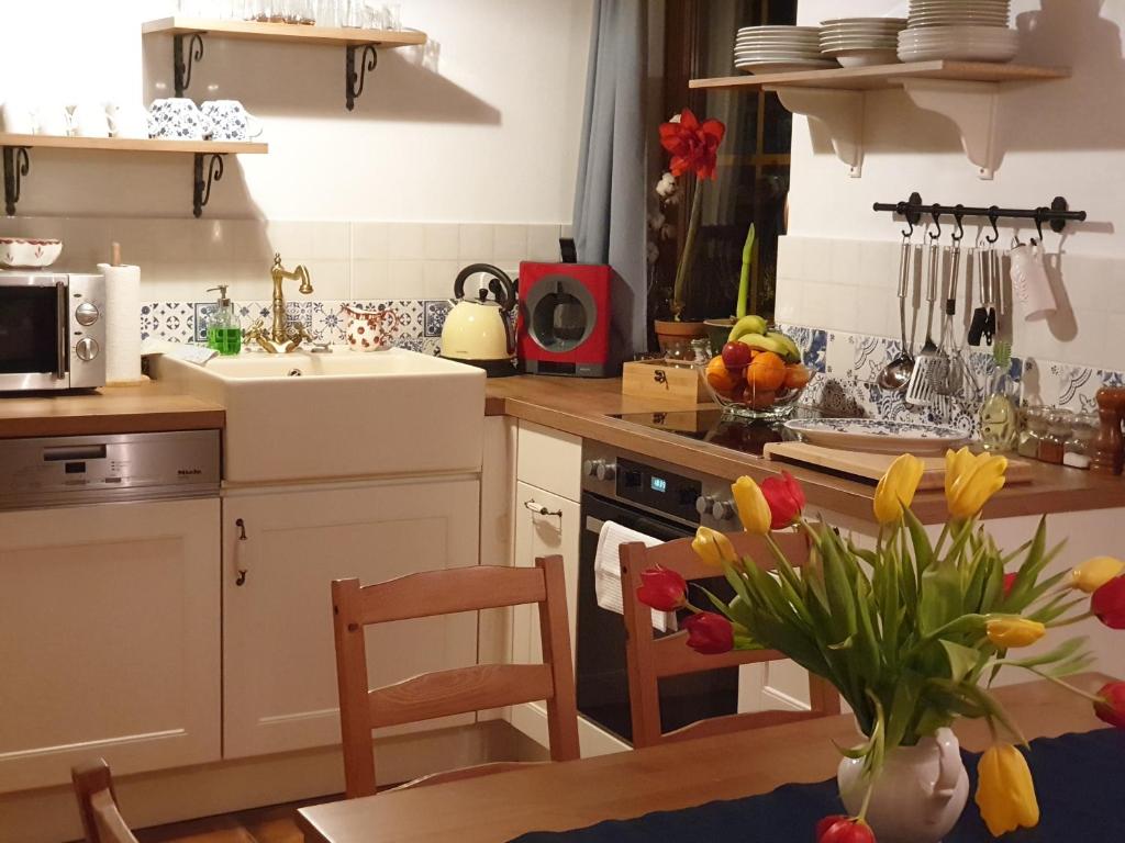 Kuchyňa alebo kuchynka v ubytovaní Appartement Emilia