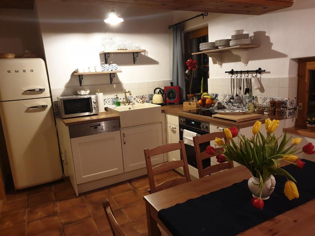 Kuchyňa alebo kuchynka v ubytovaní Appartement Emilia