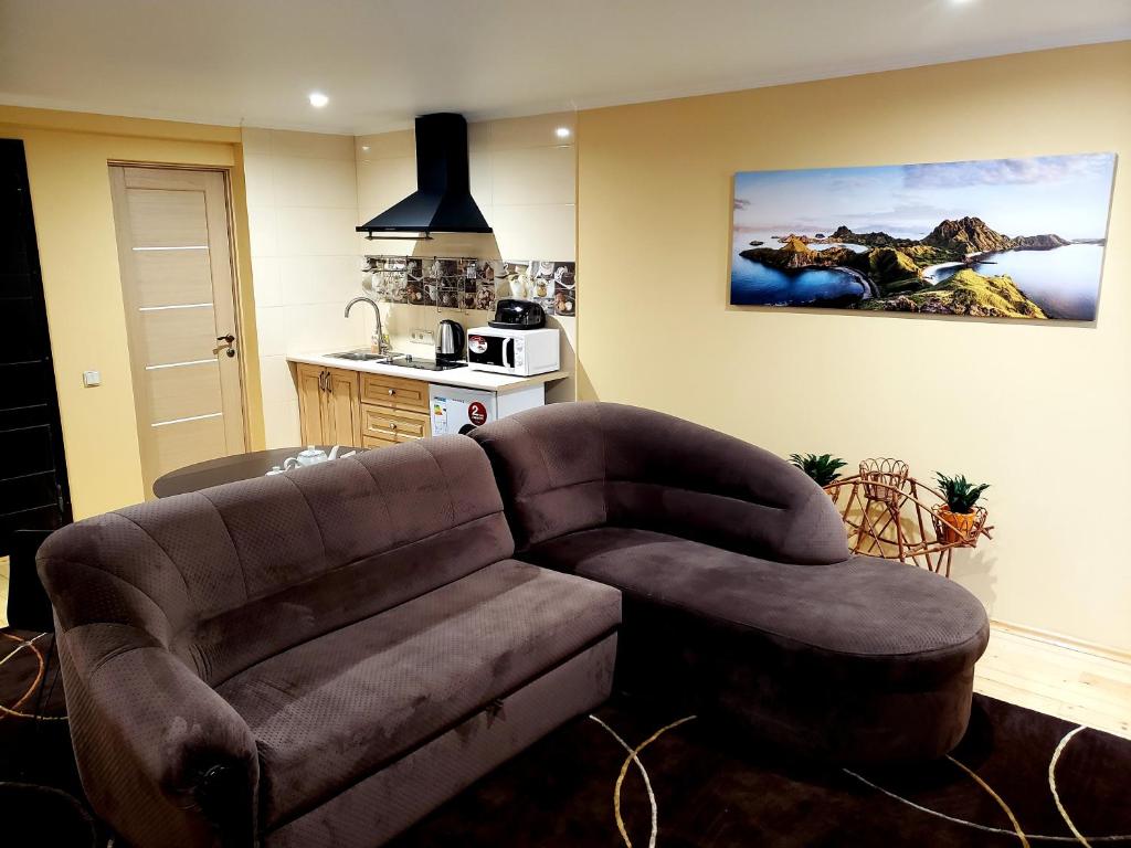 sala de estar con sofá marrón y silla en Apartments My London, en Chernivtsi