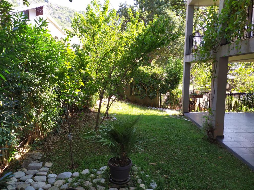 a garden with a palm tree in a yard at Villa Nadija in Čanj