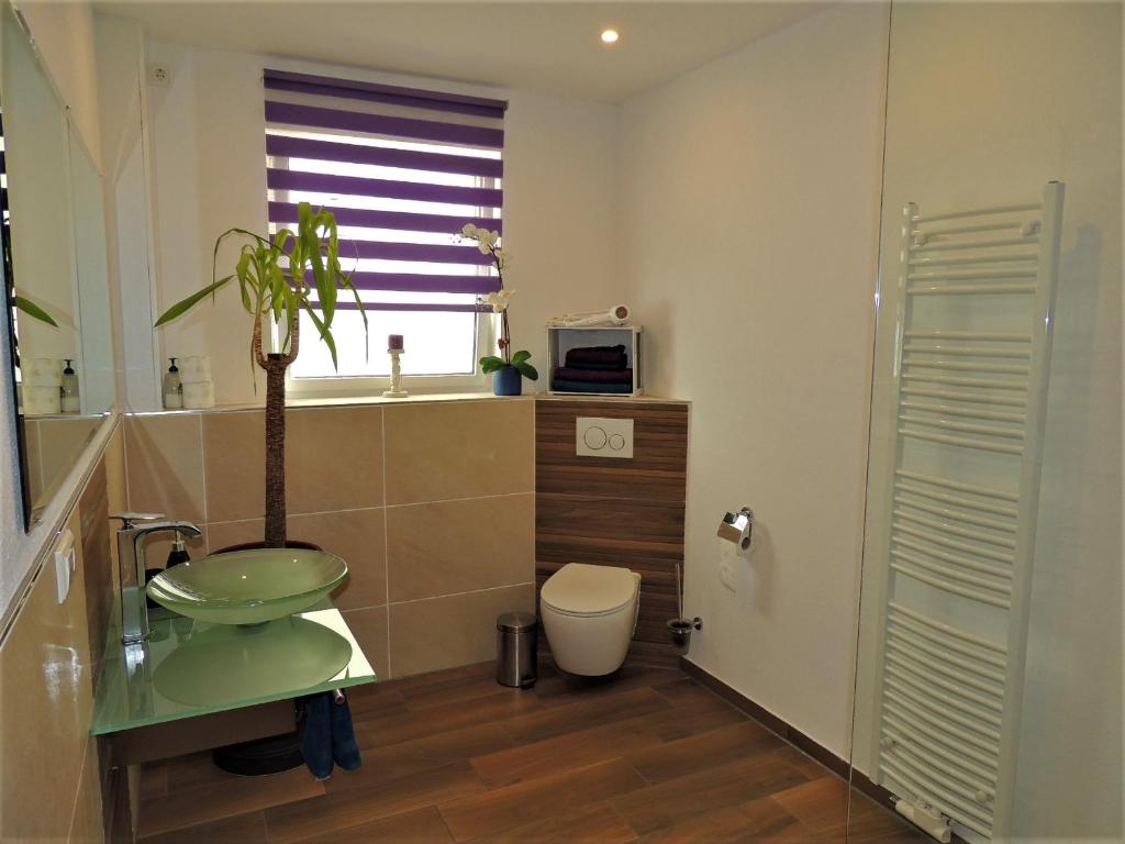 Ferienwohnungen Krause - 3