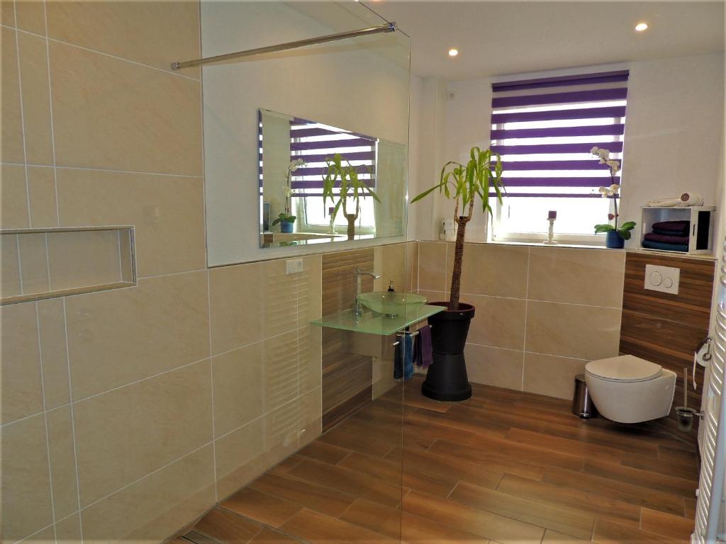 Ferienwohnungen Krause - 4