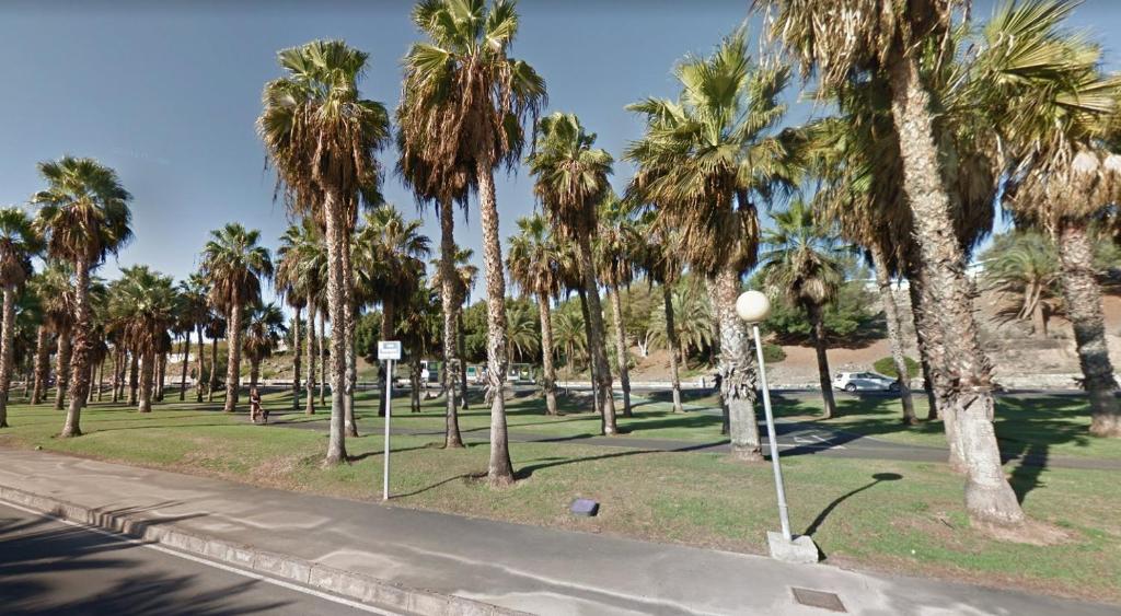 Kép Bungalows Playa Flor, Campo Internacional, Maspalomas. szállásáról Maspalomasban a galériában