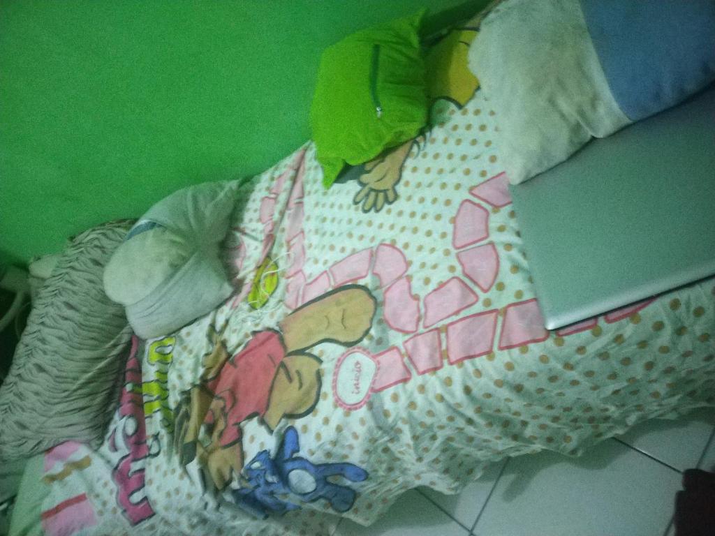  scheezinha