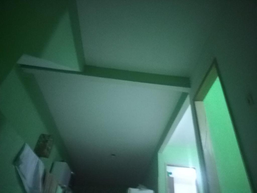  scheezinha