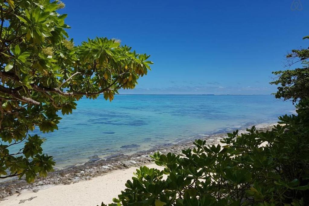 Villa Ylang Ylang - photo 9 - Moorea, Polynésie