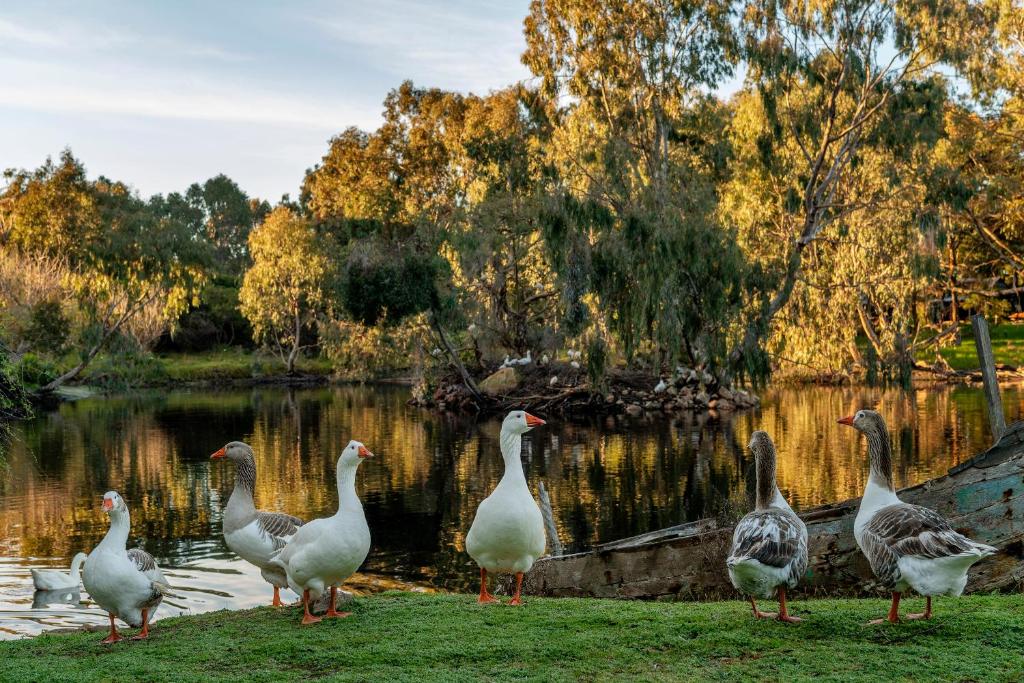 Dunsborough – Photos 2