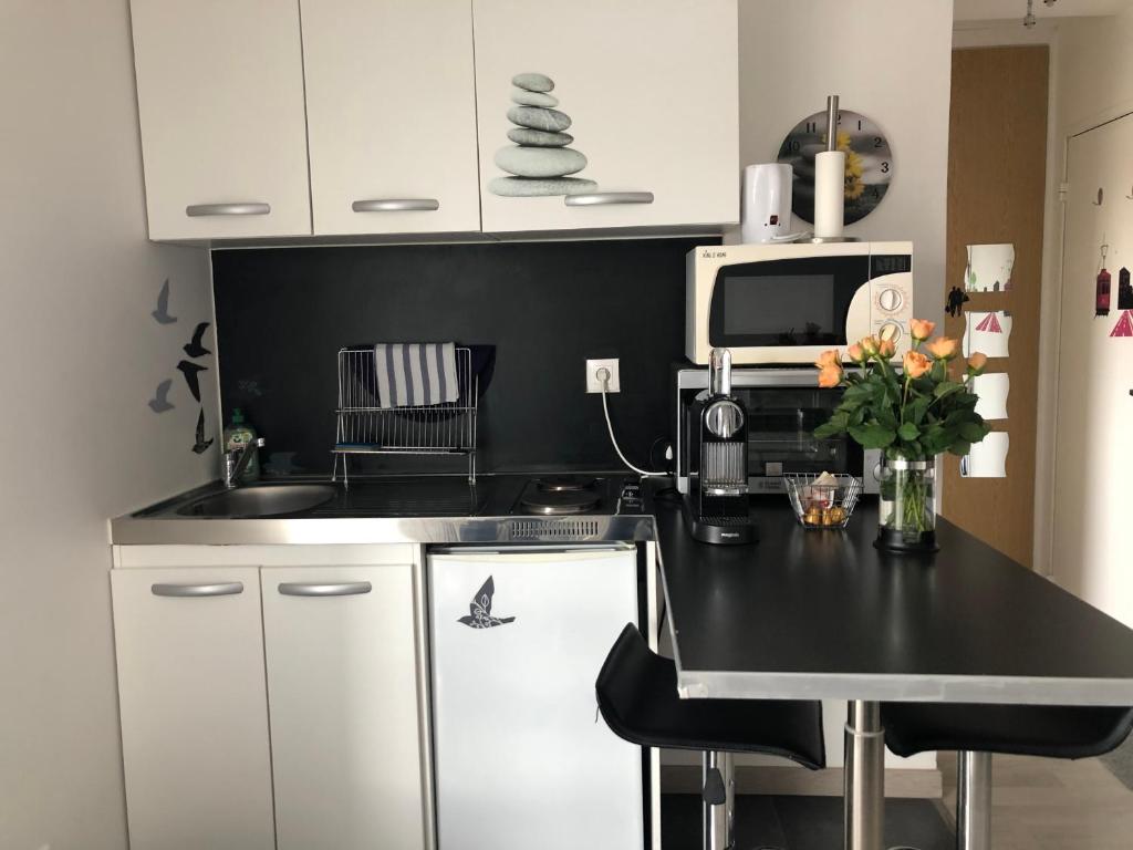 Joli Studio A Euroairport-BASEL-MULHOUSE-FREIBURG – photo 11
