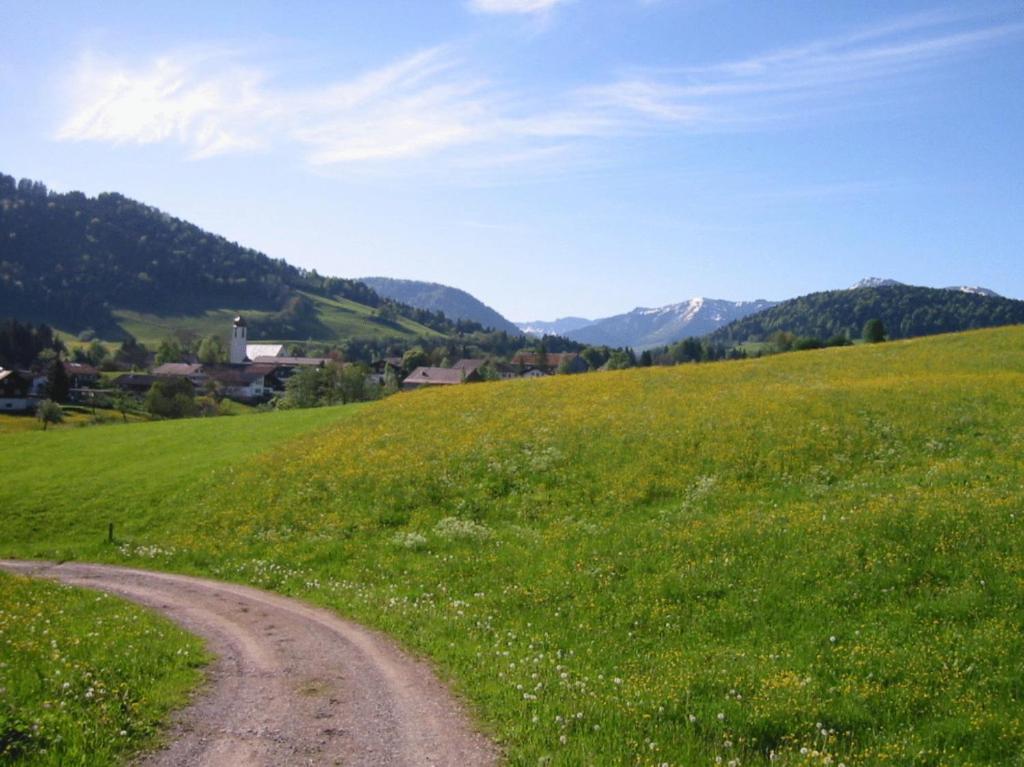 Příroda nedaleko apartmánu
