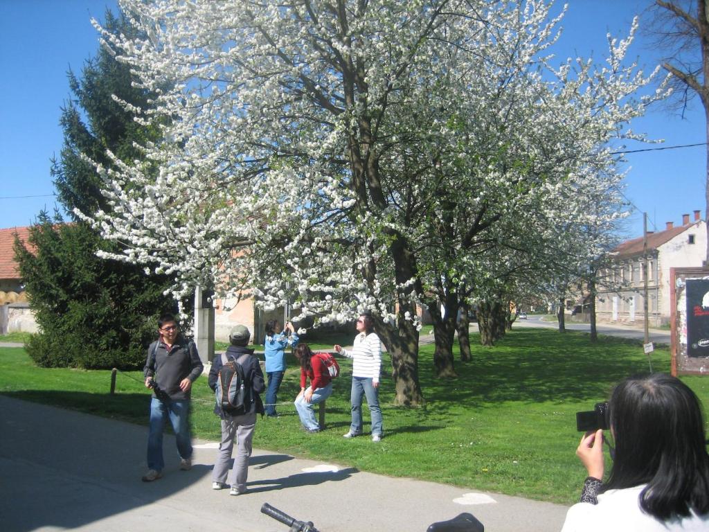 Hosté ubytování Tourist Farm Šalamun