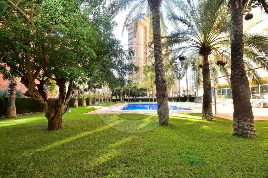 Apartamentos Paraíso Centro - BenidormParaíso, Benidorm ...