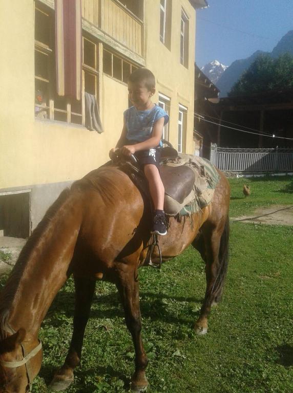 Zvířata v penzionu nebo okolí